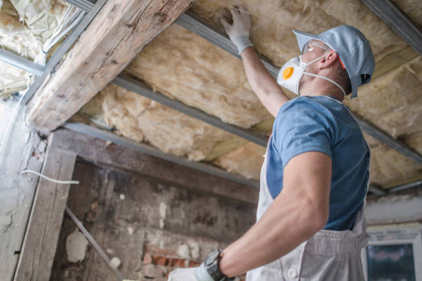 Best DIY Insulation Kits and Guidance in Forsyth, MO