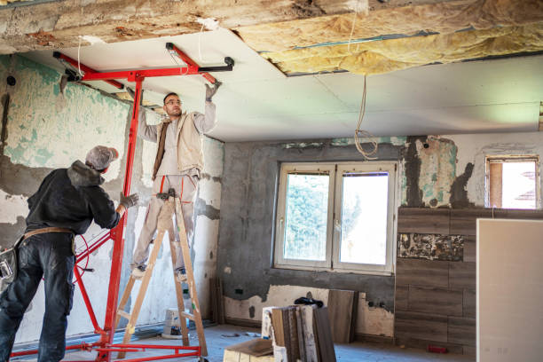 Best Specialized Insulation Services in Forsyth, MO